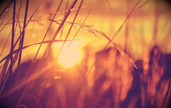 Come superare la paura: 6 potenti strategie che puoi iniziare a usare oggi