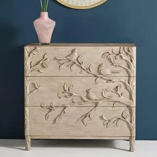 Anthropologie Ornithology Kommode mod en flådevæg.
