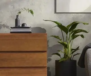 Thuma kommode med nipsting og en plante på toppen, sat mod en grå væg.