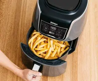 Ninja Max XL Air Fryer