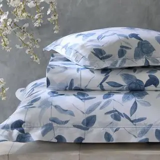 גיליונות אנטוניה על רקע אפור.