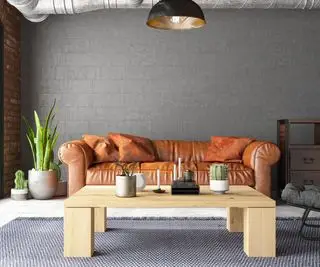 vegansk skinnsofa med bord foran