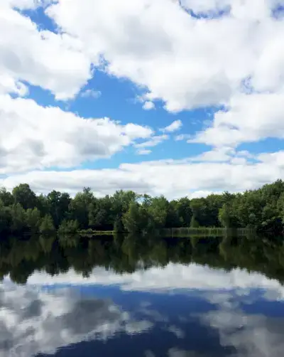 how to live a simple lifestyle