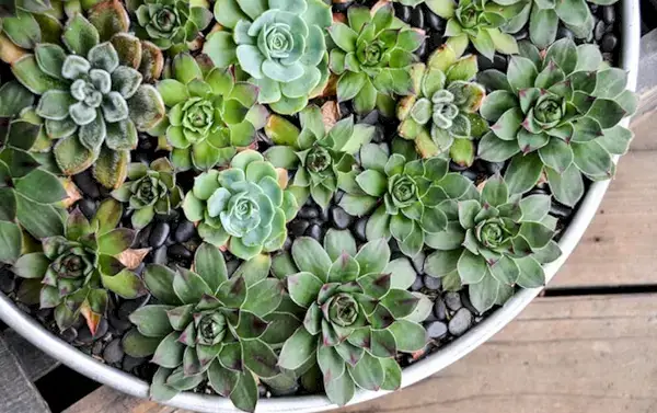 10 små overvejelser om at forenkle mit liv