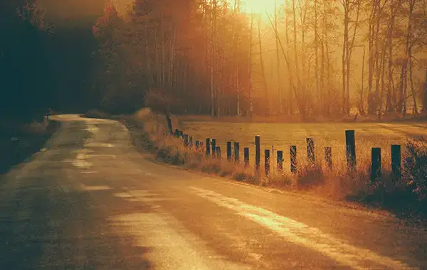 Leben auf der langsamen Spur: Warum sanft und langsam das neue Geschäftige ist