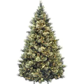 National Tree Company Carolina Pine na białym tle.
