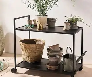 Carrello bar Anthropologie