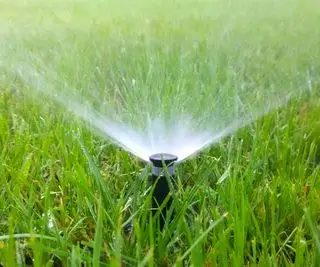 Sprinklerhode som vanner en plen