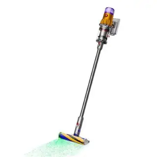 Dyson V12