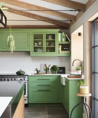 Unidades de cozinha verdes