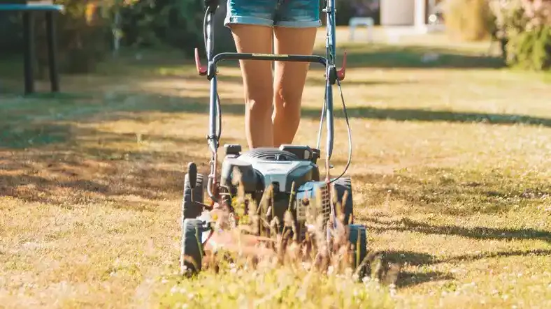 若者向けの素晴らしい夏の仕事 14