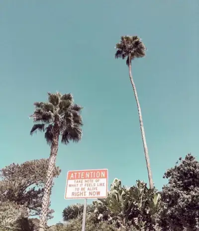 Quotes to help you declutter your mind