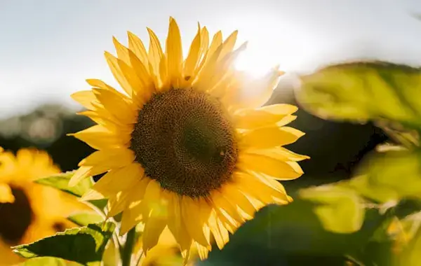 Cómo ser feliz: mis 10 secretos para sentirme más feliz