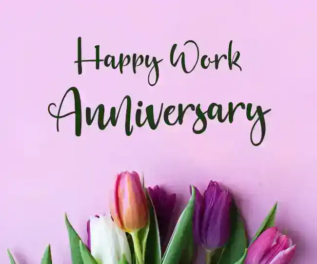 happy work anniversary