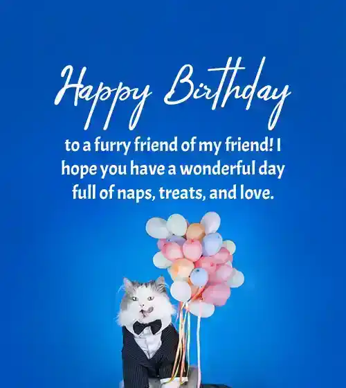 Happy Birthday Wishes for a Pet Cat of my Friend