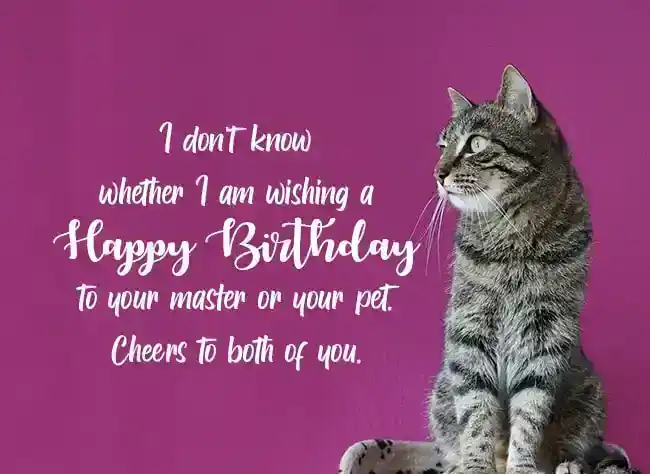 Birthday-Wishes-for-a-Friend’s-Cat