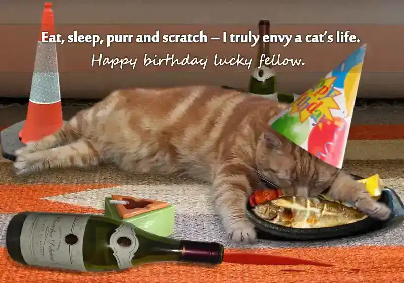 birthday-wishes-for-pet-cat-3