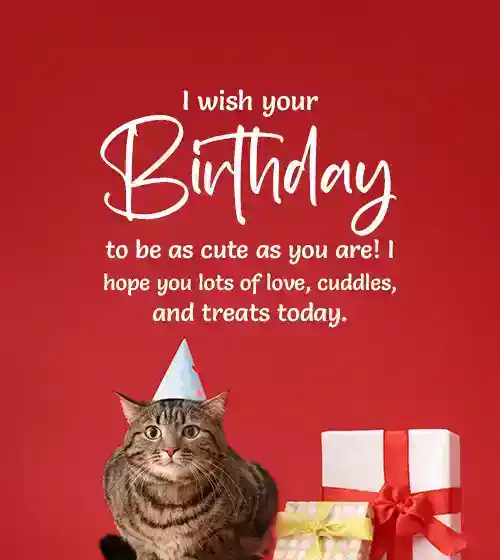 Happy Birthday Wishes for a Cat