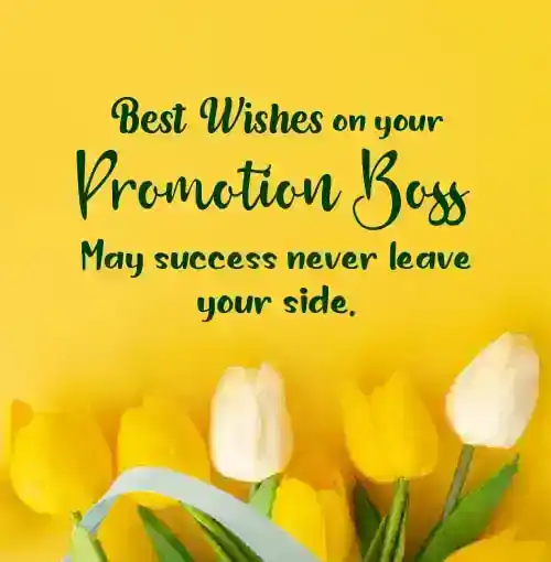 best wishes for boss promotion