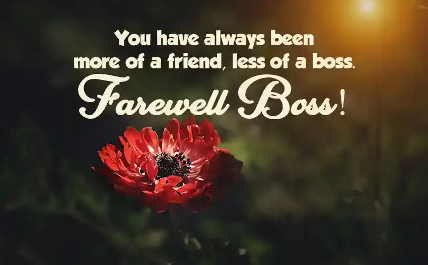 Formal Farewell Message to Boss