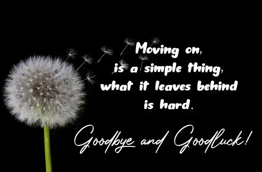 Goodbye and Good Luck Wishes for Boss