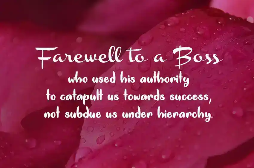 Farewell Wishes for Boss