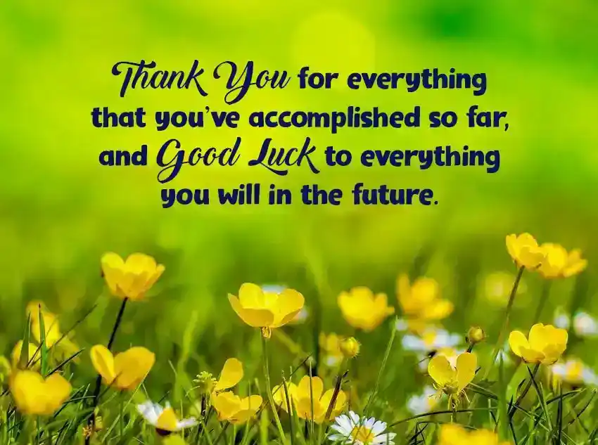 Farewell Thank You Messages for Boss