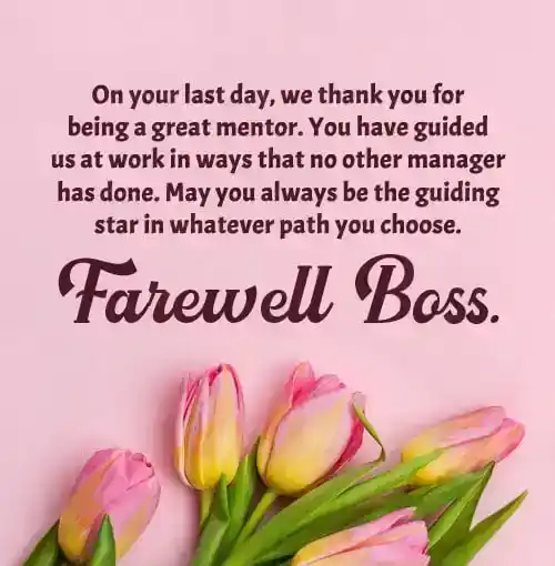 farewell speech for boss