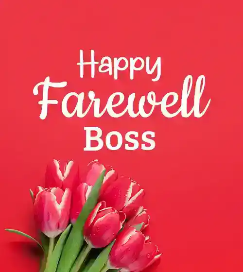 short farewell message to boss