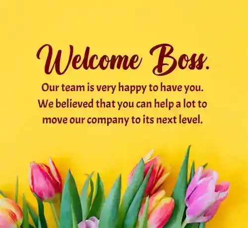 welcome messages for new boss
