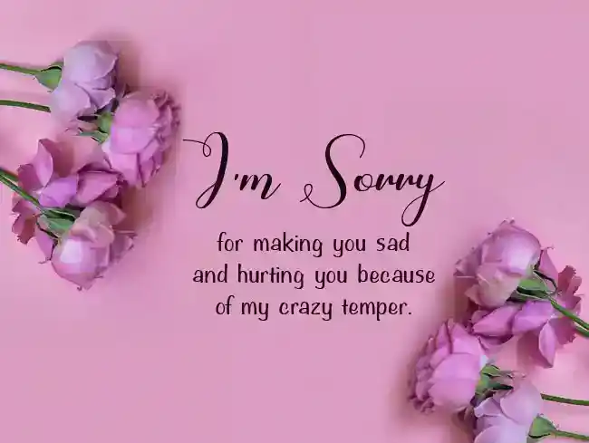 sorry message for him