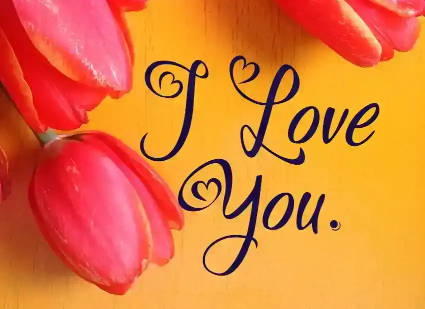 100 lettere d'amore per lui e per lei