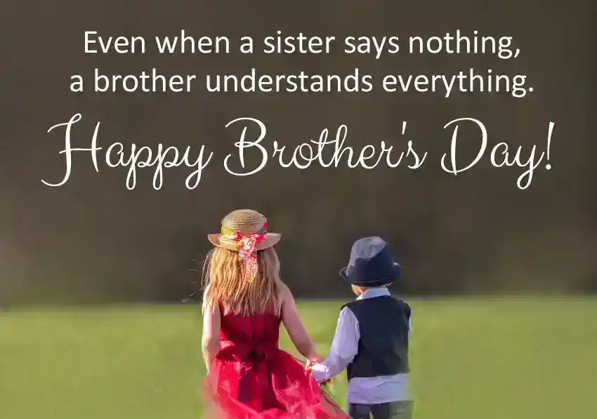 Best Wishes on Brothers Day From Sister