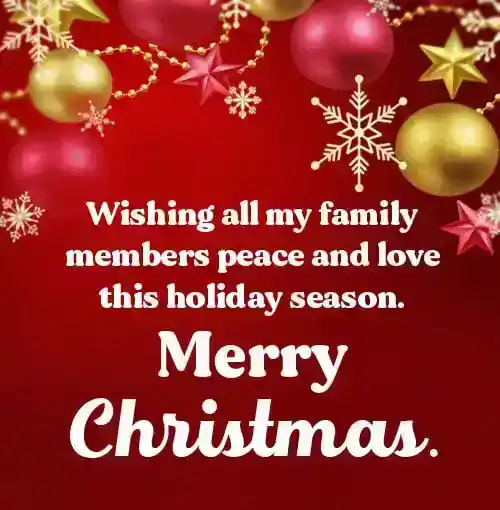 merry christmas wishes to family