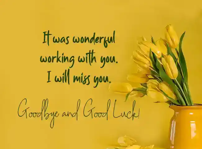 Goodbye-Message-for-Employee