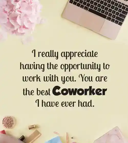 appreciation quotes for colleagues