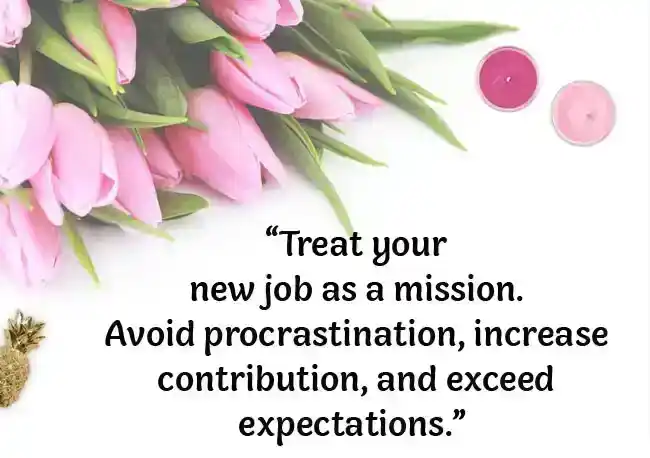 Quotes About New Job