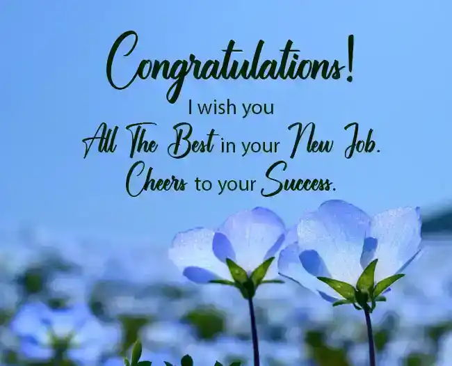 best wishes for new job