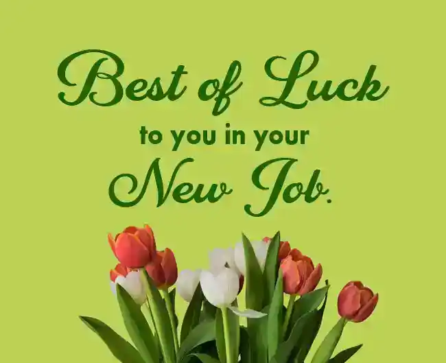 new job wishes
