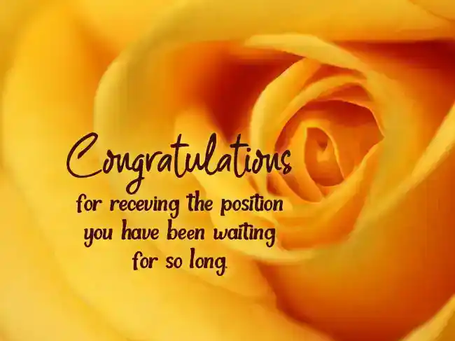 congratulations-on-your-new-position