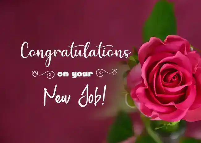 congratulations-on-your-new-job