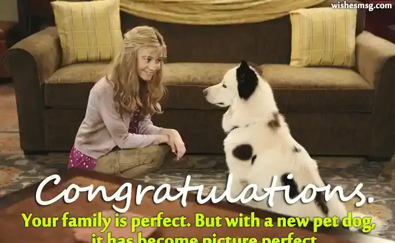 wishes for new puppy