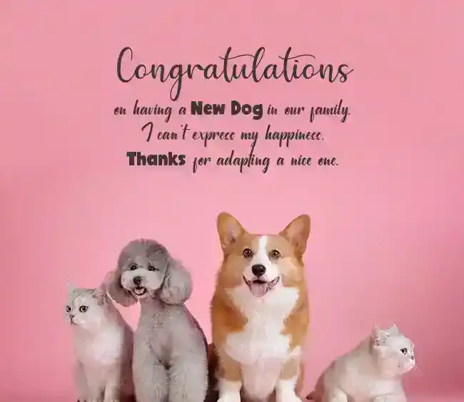 New-Puppy-Messages-for-a-Family-Member