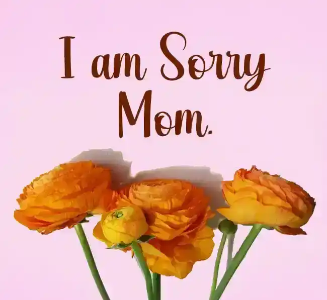 Sorry Mom - Citáty Sorry Mami