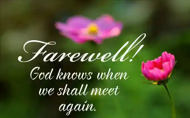 Heartfelt Farewell Wishes