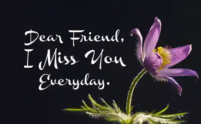 Tu me manques citations et messages pour amis