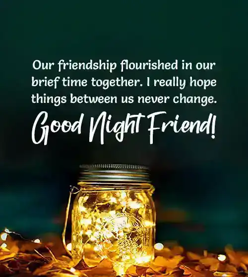 Goodnight Message To a New Friend