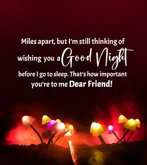 Good Night Message for Friend in Long Distance