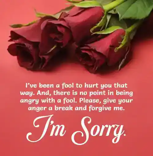 sorry message for best friend