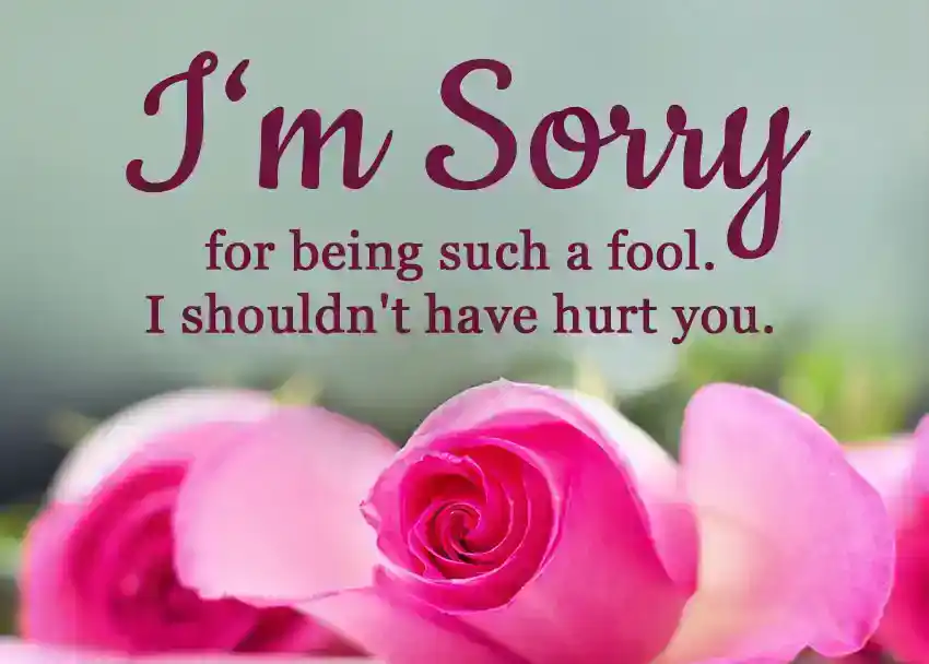 sorry msg for friend
